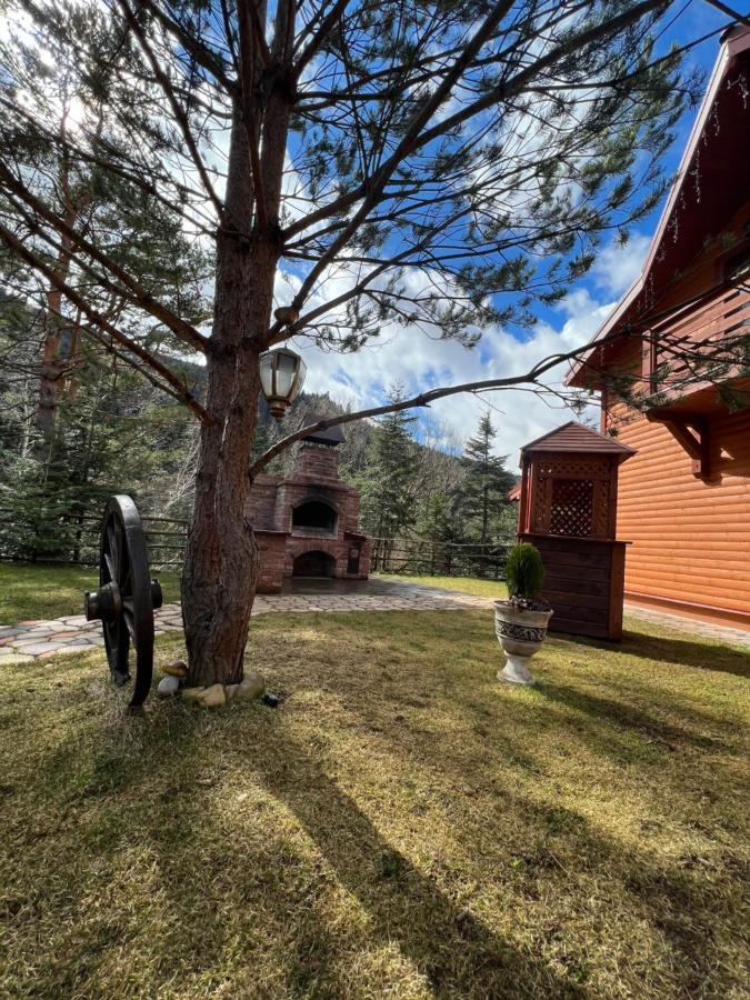 Villa Затишна De Luxe Mykulychyn Exterior foto